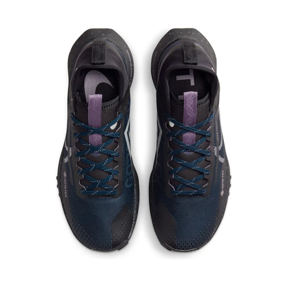 Nike Pegasus Trail 4 Gore-Tex Dark Obsidian Metallic Silver (FZ4343-400)