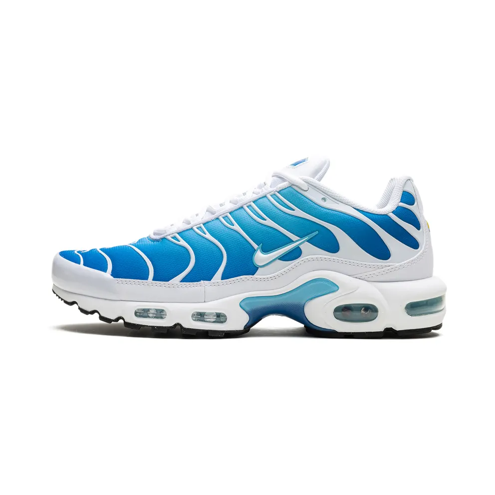 Nike Air Max Plus “Blue Gaze” (852630-411)