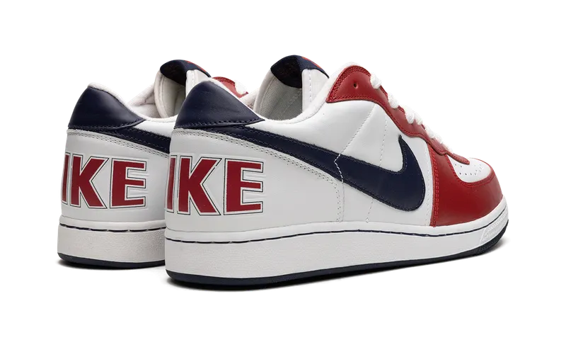 Nike Terminator Low “Olympics” (309436-142)