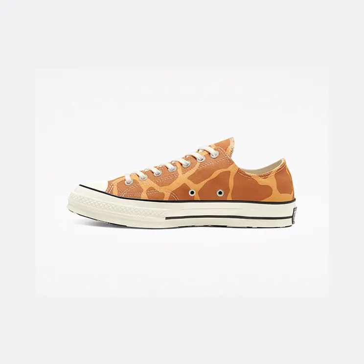 converse-chuck-taylor-all-star 167810C