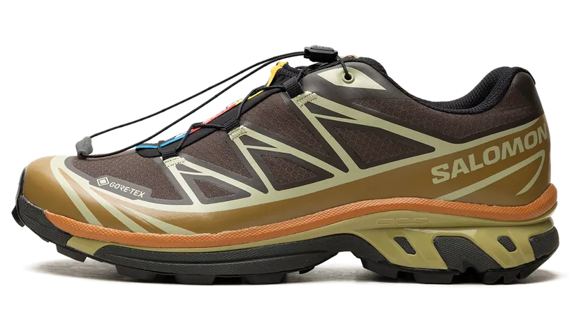 Salomon XT-6 Gore-Tex “Delicioso Tea” (L49202-100)