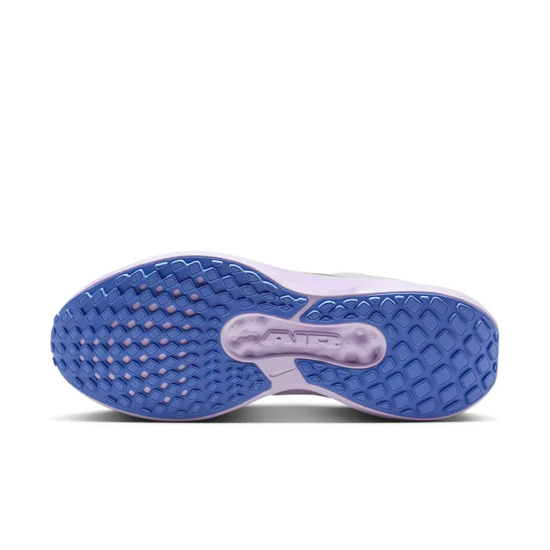 Nike Winflo 11 Grey (FJ9510-112)