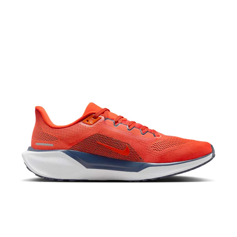 Nike Air Zoom Pegasus 41 Virginia (FZ5151-800)
