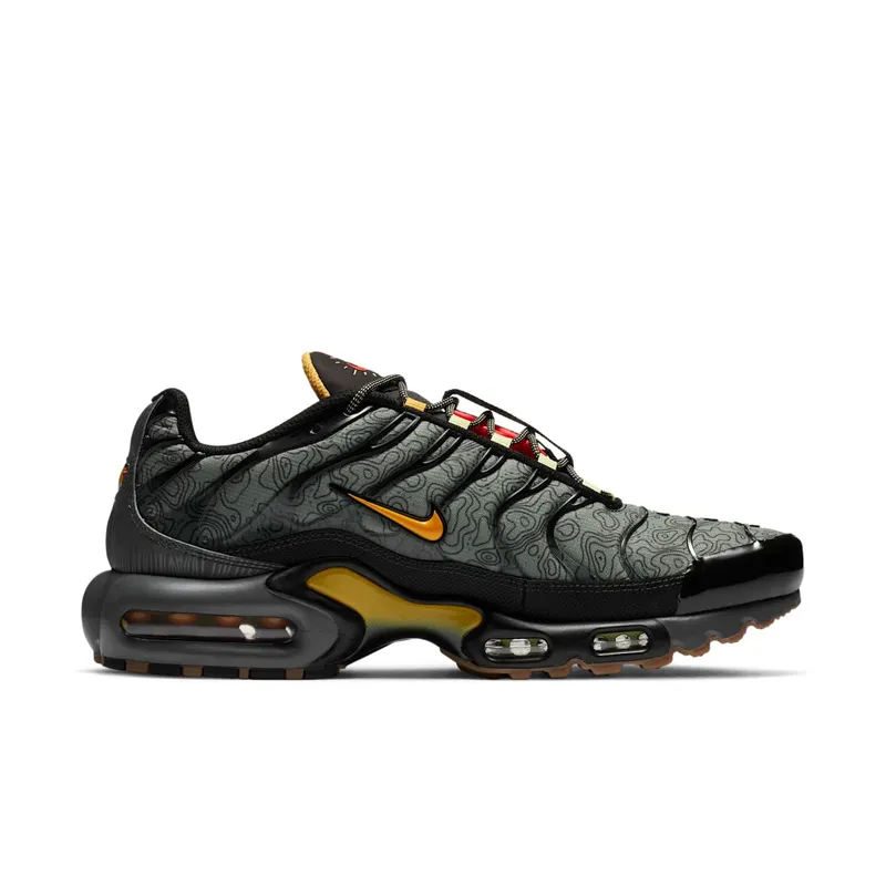 Nike Air Max Plus Fresh Perspective (DC7392-300)