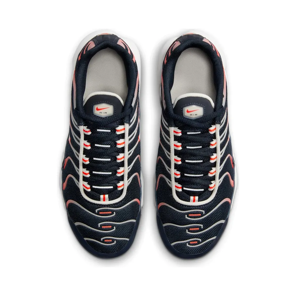 Nike Air Max Plus Dark Obsidian Bright Crimson (CD0609-408)