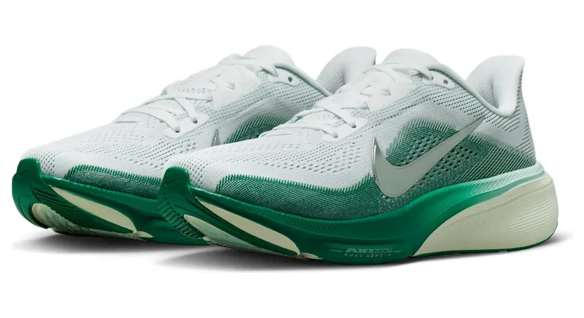 nike-air-pegasus IB1881-100