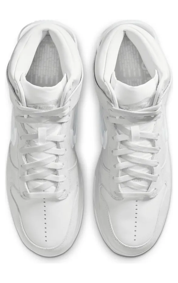 nike-dunk DA1639-100