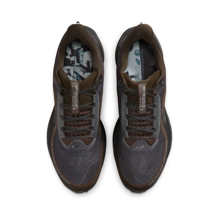 nike-air-pegasus IQ3435-045