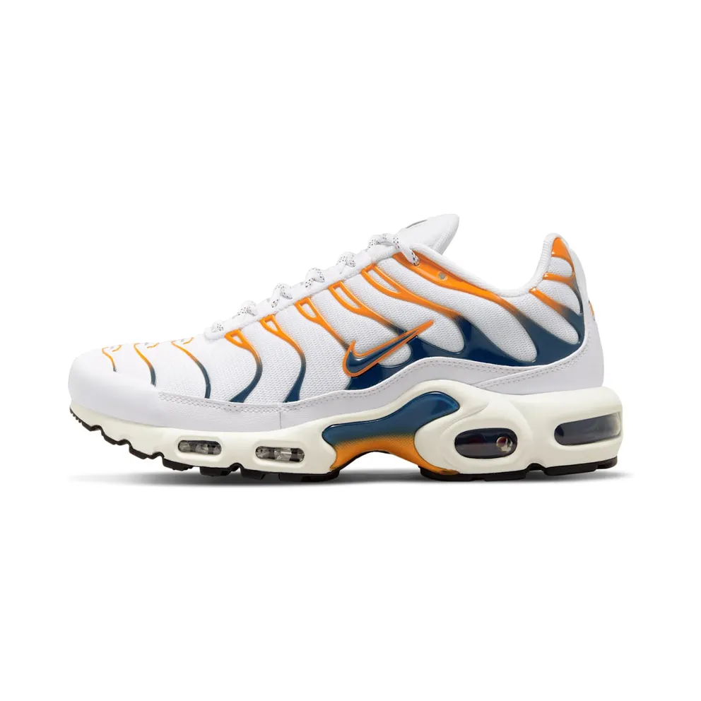 Nike TN Air Max Plus Hiking (DV3507-100)