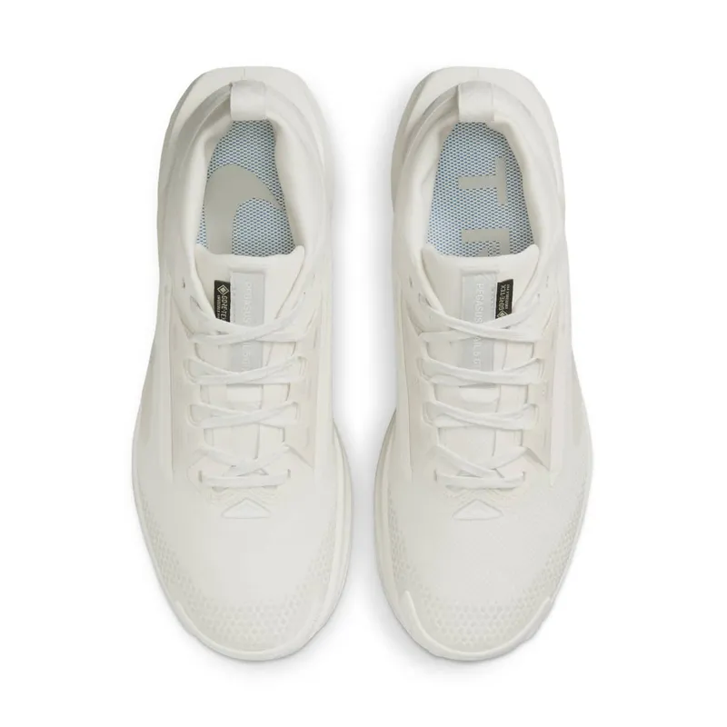 Women's Shoes Nike Pegasus 5 Gore-tex FQ0912-102