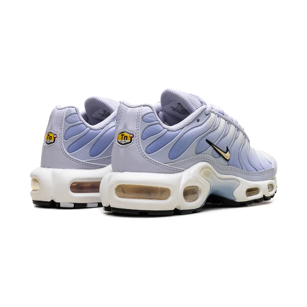 Nike Air Max Plus “Daybreak” (DZ3670-004)