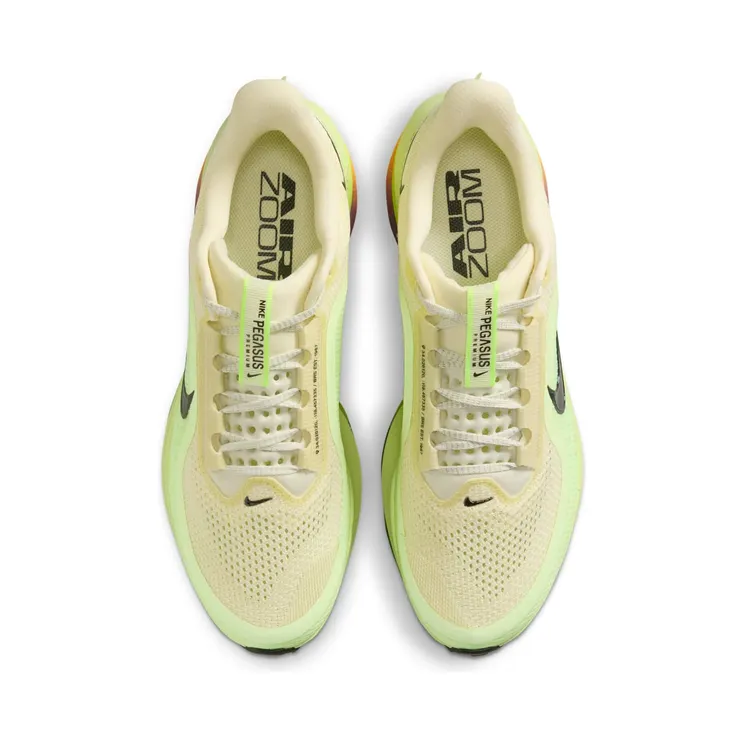 nike-air-pegasus HQ2592-701
