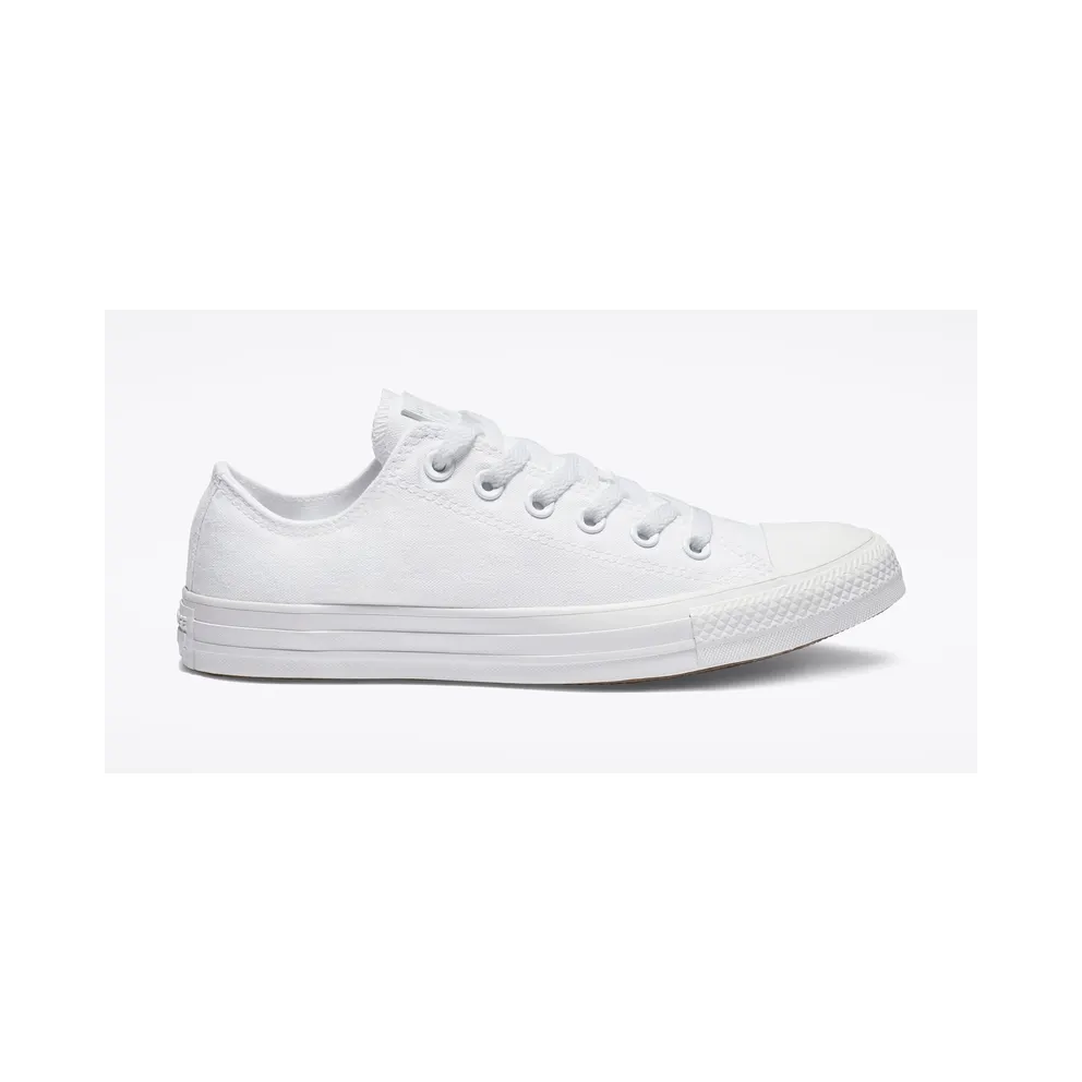 Converse Mono Colour Chuck Taylor All Star Low Top (1U647)