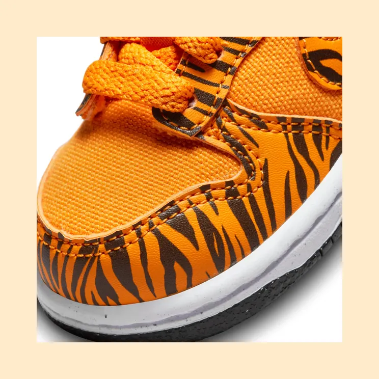nike-dunk DZ5634-800
