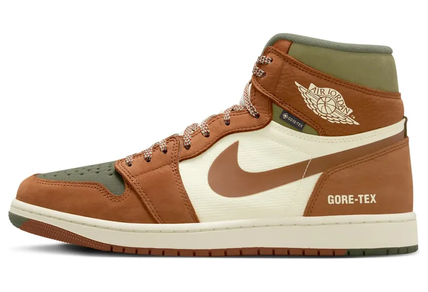 Air Jordan 1 DB2889-102
