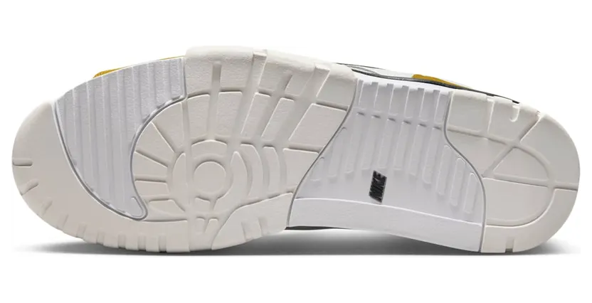 air-jordan-trainer-1 FQ8225-100