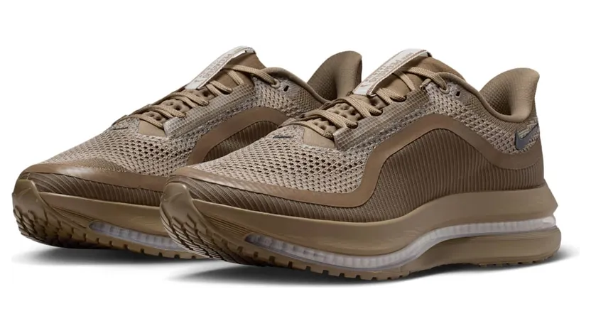 nike-air-pegasus IQ5691-200