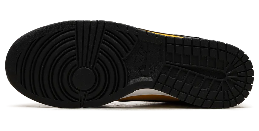 nike-dunk FZ4618-001