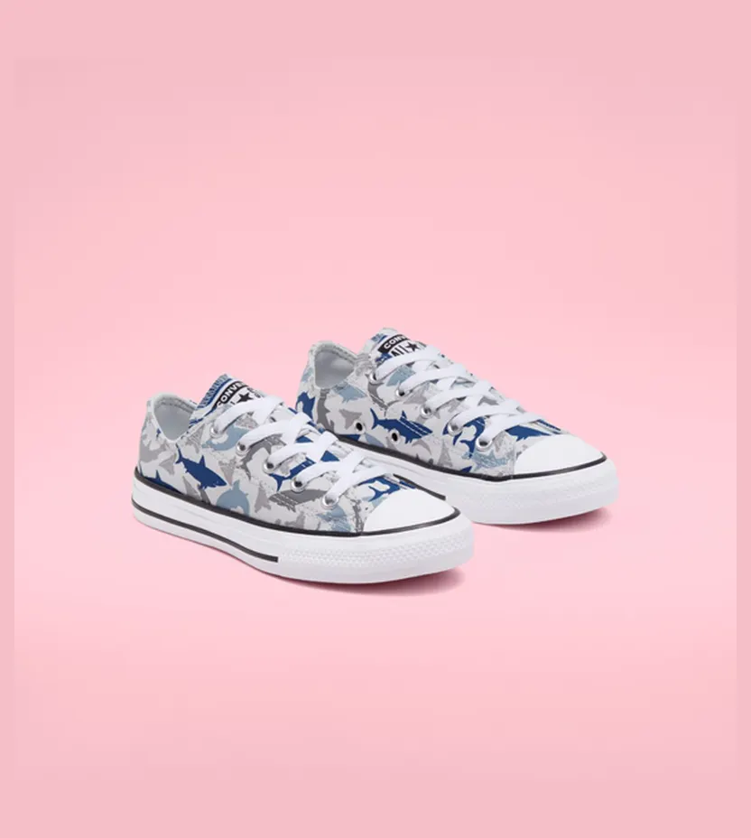 converse-chuck-taylor-all-star 666890C