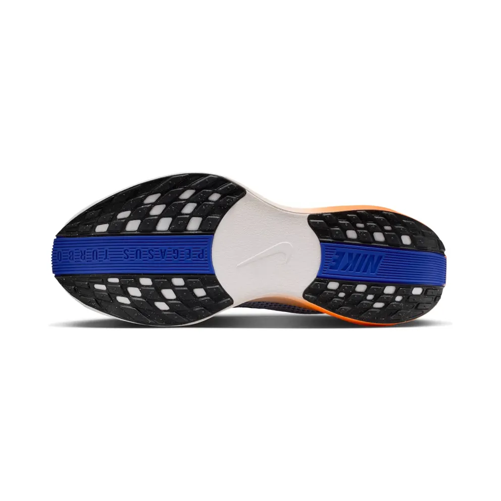 Nike Pegasus Crystal Blue/Hydrogen Blue/Lapis/Off Noir (FQ7262-403)