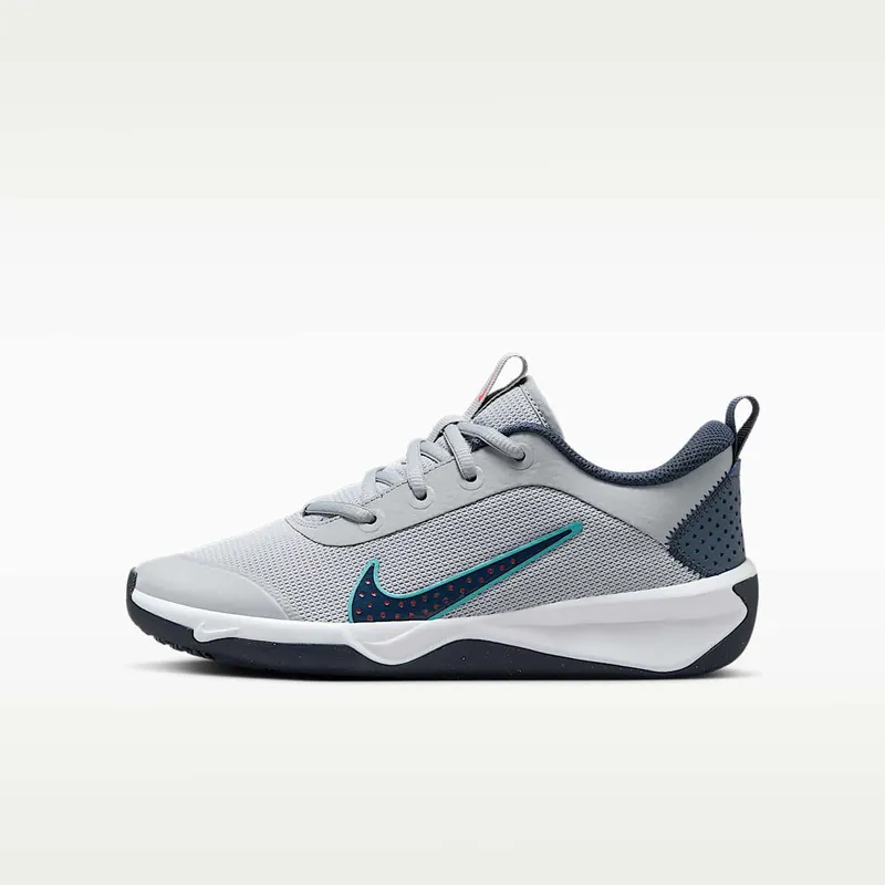 Nike Omni Multi-Court Wolf Grey Bright Crimson Dusty Cactus Thunder Blue (DM9027-010)