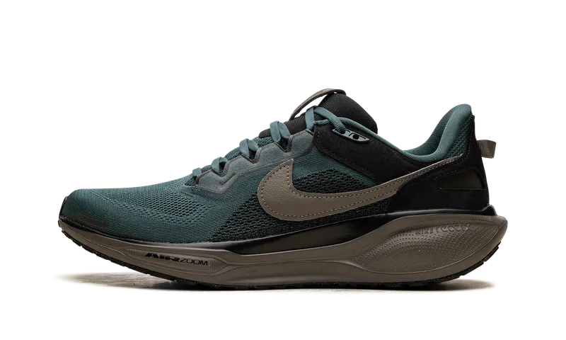 Nike Air Zoom Pegasus 41 SP “Faded Spruce” (HQ6025-300)