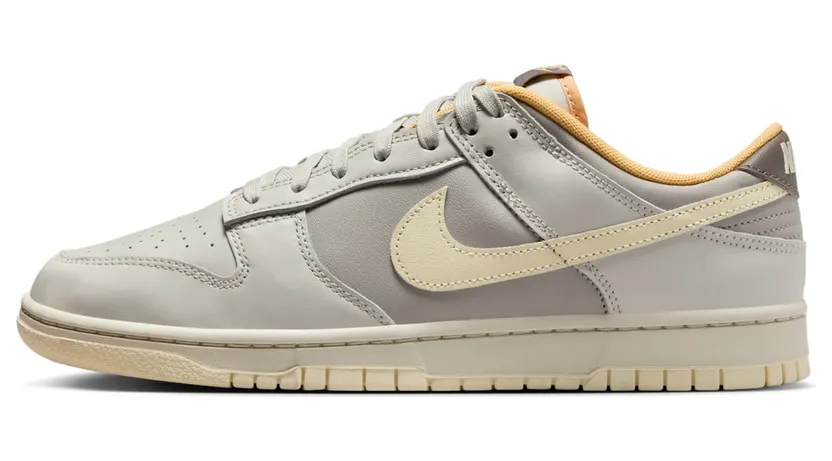 Nike Dunk Low IB4503-072