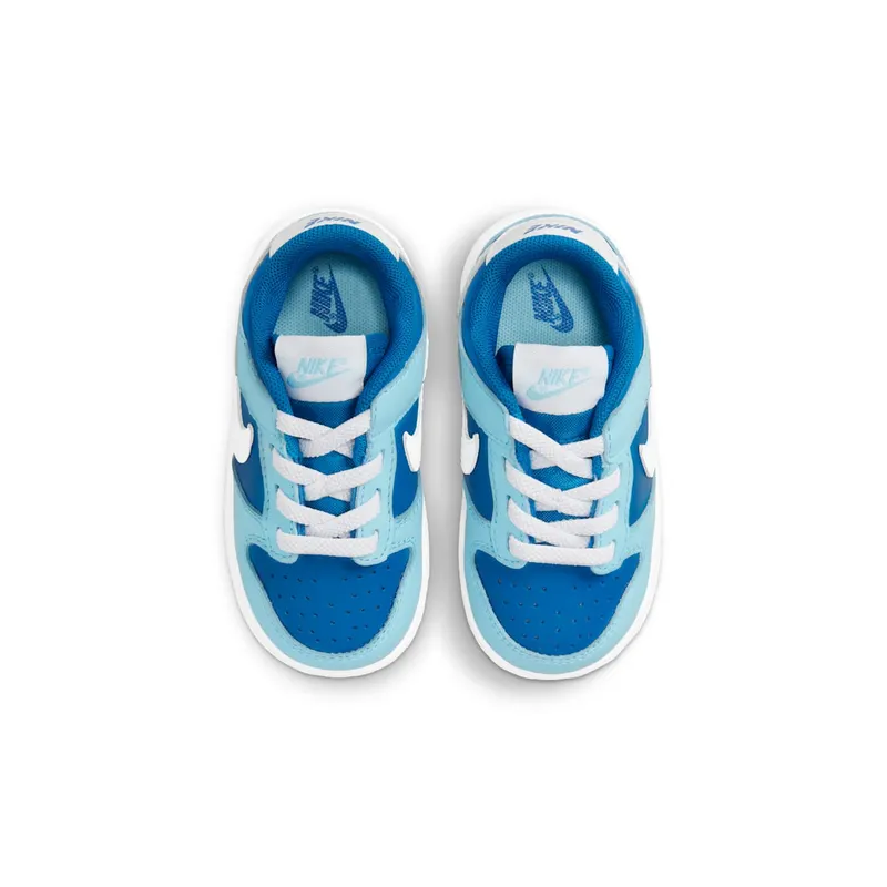 Nike Dunk Low Retro QS TDE “Argon TD” (DV2634-400)