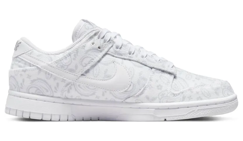 nike-dunk DJ9955-100