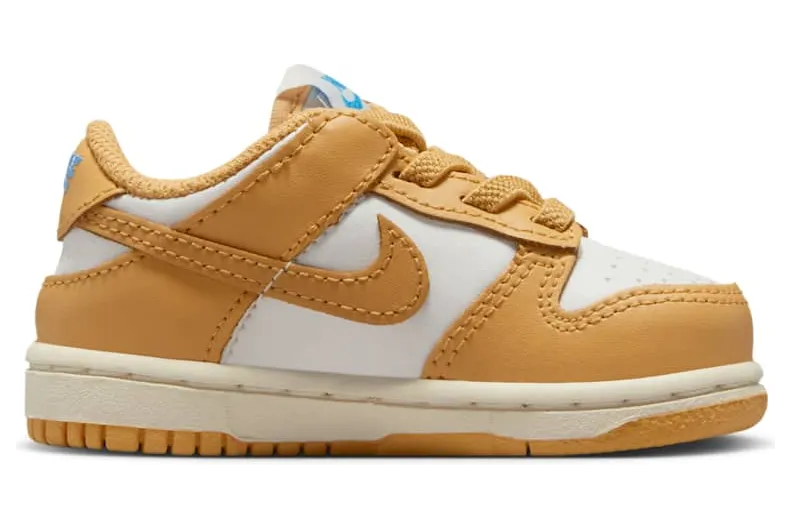 nike-dunk FB9107-700