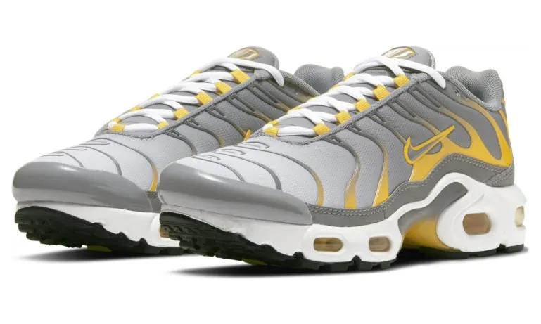Nike Air Max Plus Particle Grey (GS) (DJ4619-002)