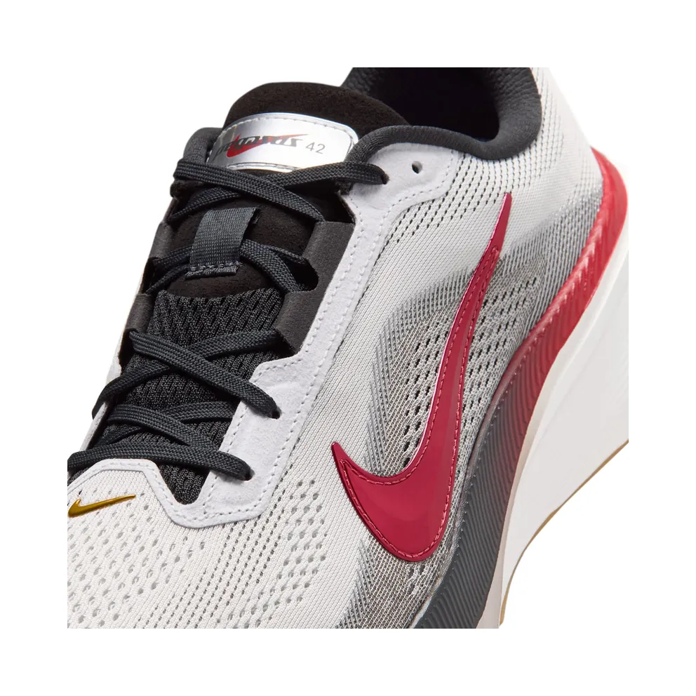 Nike Air Zoom Pegasus 42 Now & Then Pack (IV5659-121)