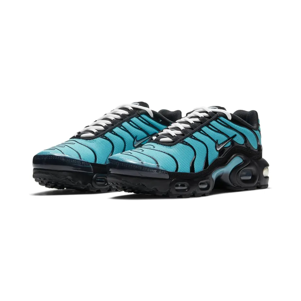 Nike Air Max Plus Older Kids’ Blue (CD0609-405)