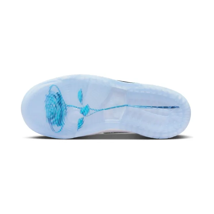 nike-dunk-sb FZ6106-300
