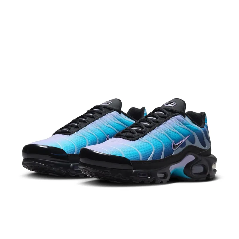 Nike Air Max Plus Black Hydrangeas (HV2510-001)