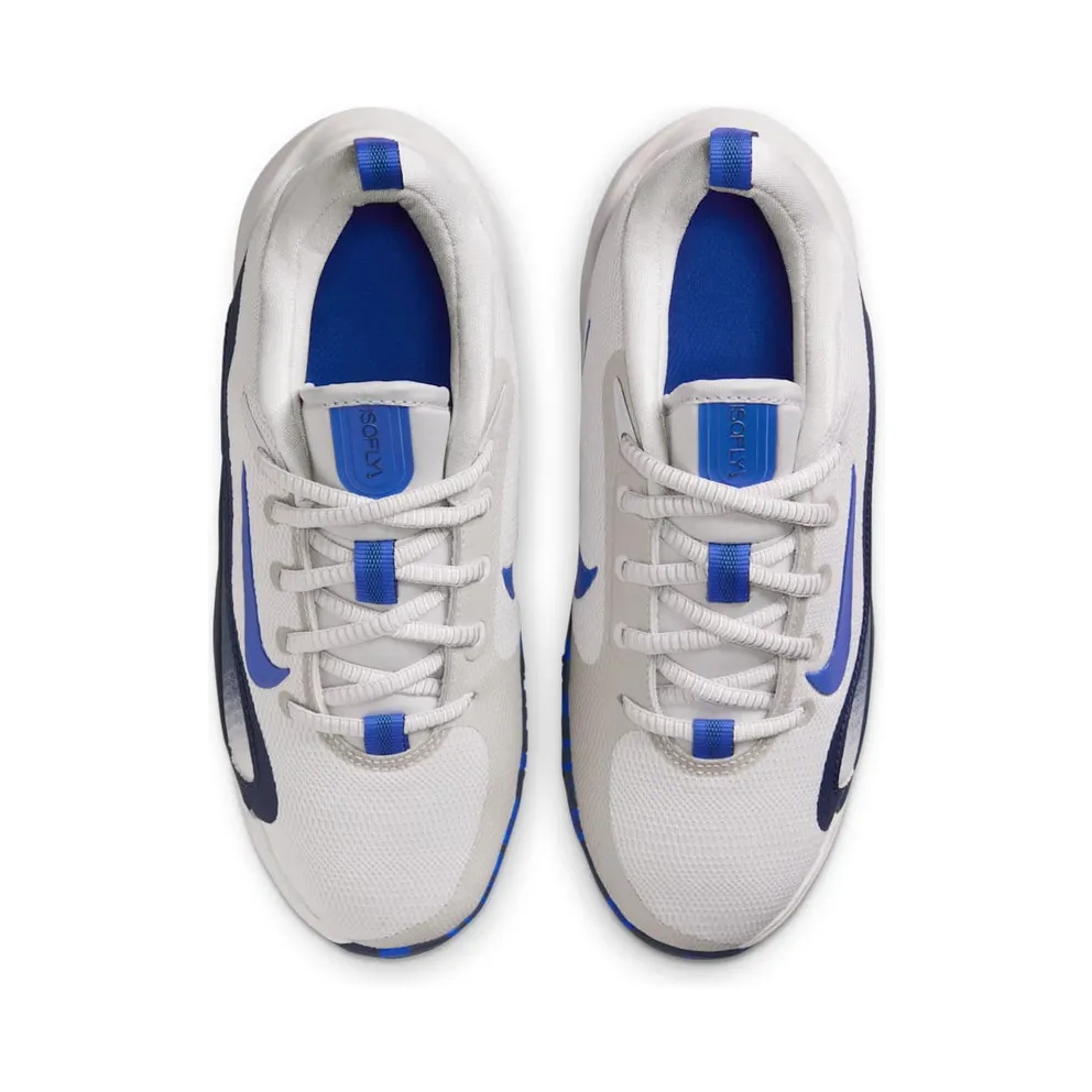 Nike IsoFly Vast Grey Midnight Navy Hyper Royal (FN4384-006)