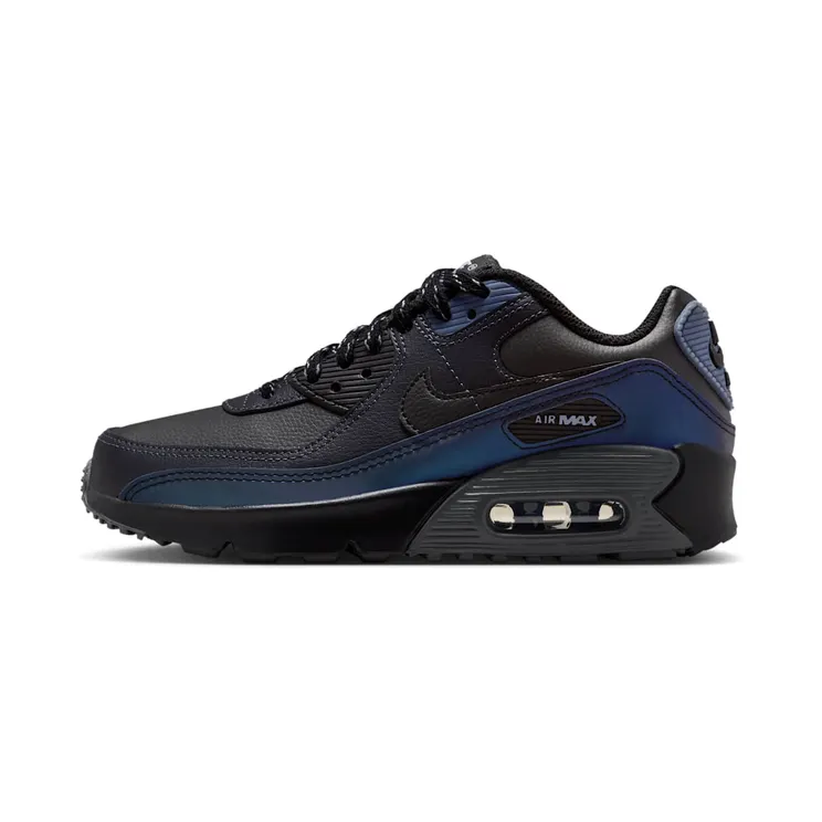 Nike Air Max 90 Black / Dark Smoke Grey / Light Carbon (IH8654-001)