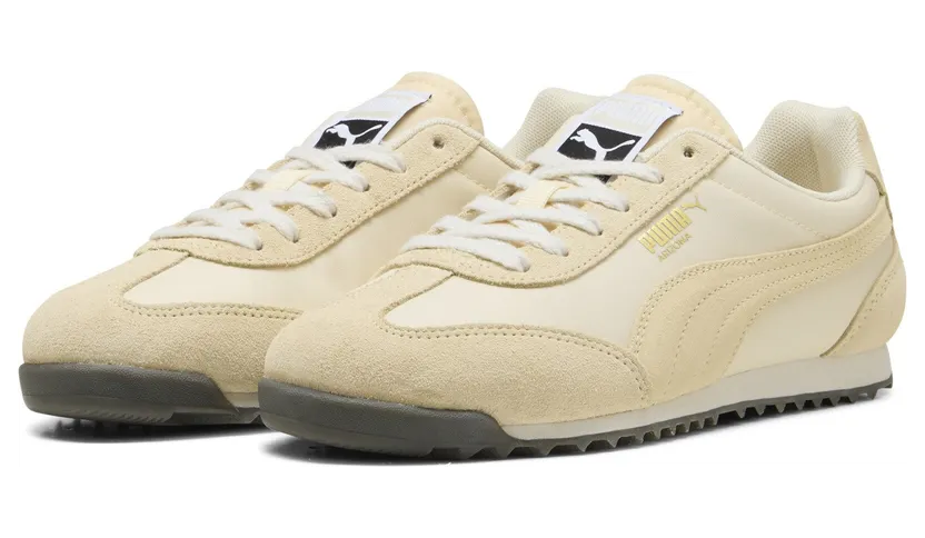 puma-arizona 398682_36