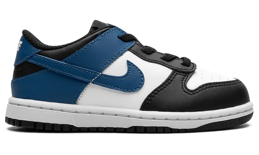 nike-dunk DH9761-104
