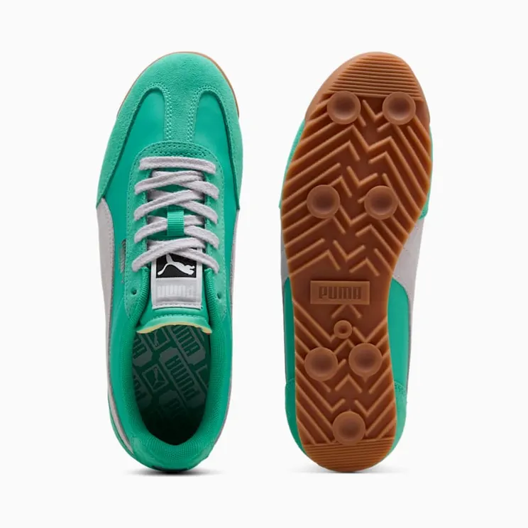 puma-arizona 39868230