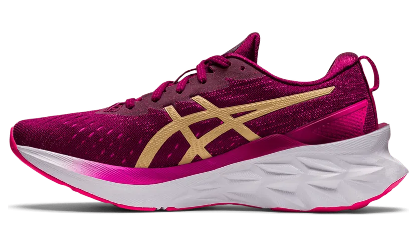 asics-novablast 1012B049.600