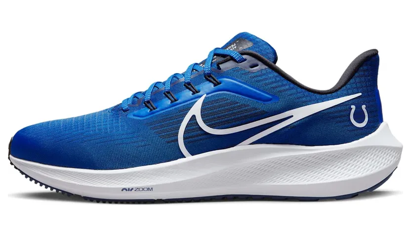 Nike Air Zoom DR2046-400