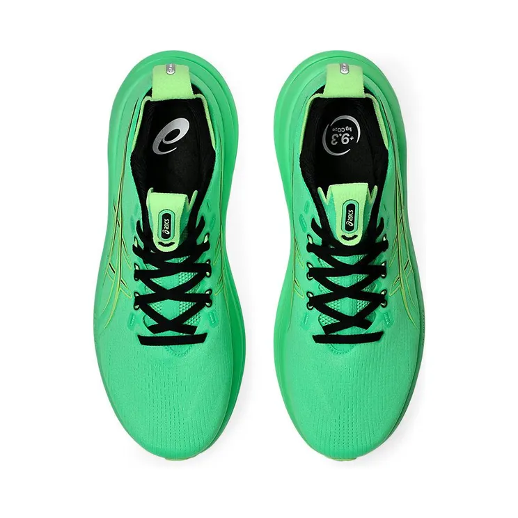 asics-gel-nimbus 1011C127-300