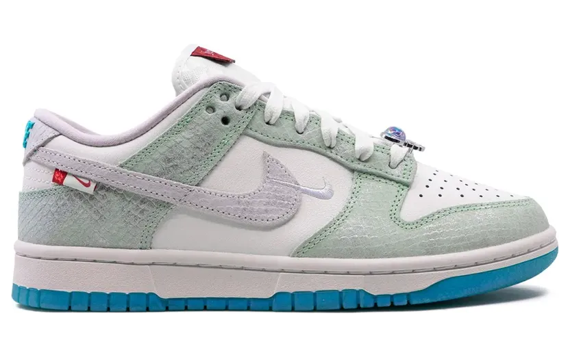 nike-dunk FZ5065