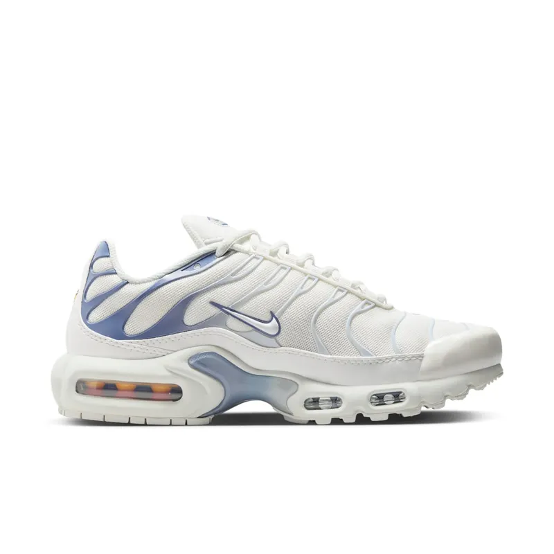 Nike Air Max Plus Ashen Slate (DZ3671-104)
