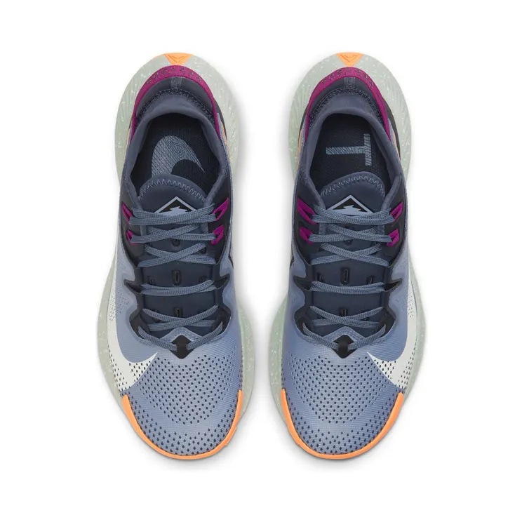 nike-air-pegasus CK4309-401
