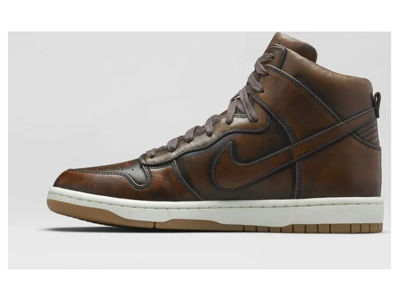nike-dunk 747138-221