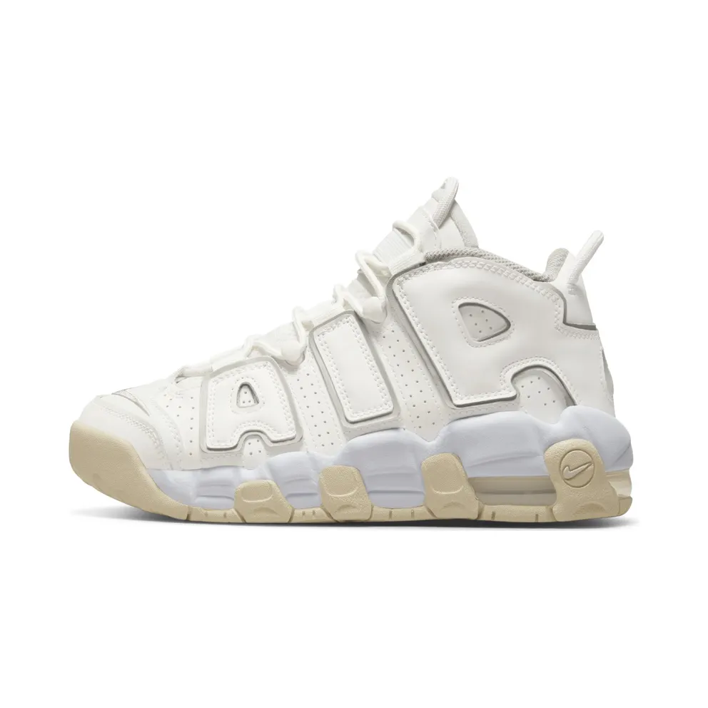 Nike Air More Uptempoen Grey (DM1023-001)
