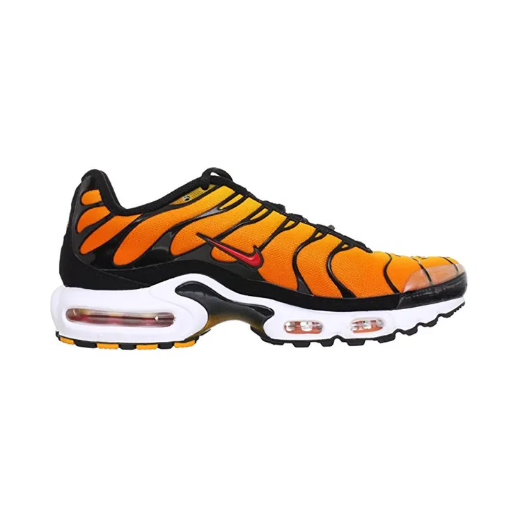 Nike Air Max Plus Sunset (2014)