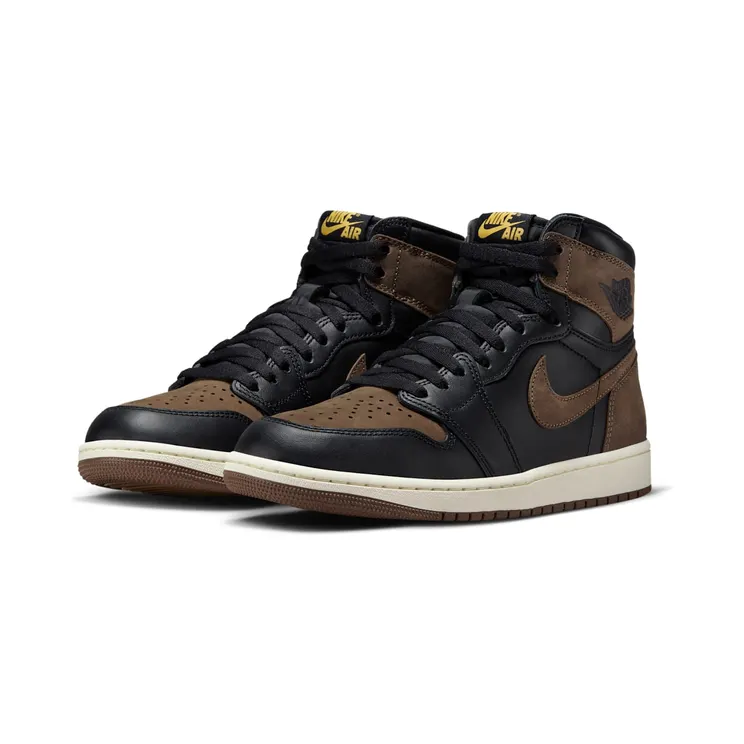 air-jordan-1 DZ5485-020